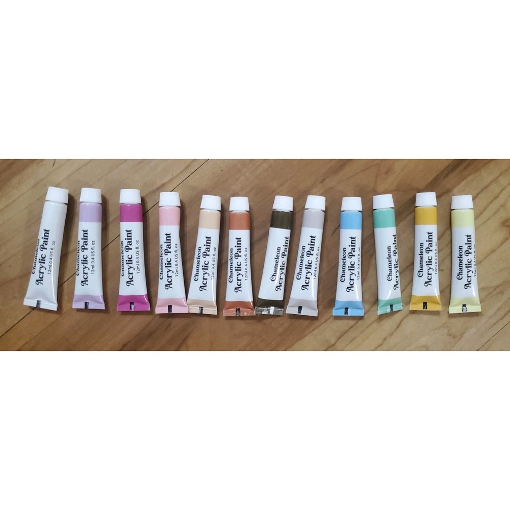 Chameleon Acrylic Paint Set 12 Piece Multicolor Color Shifting Iridescent USED
